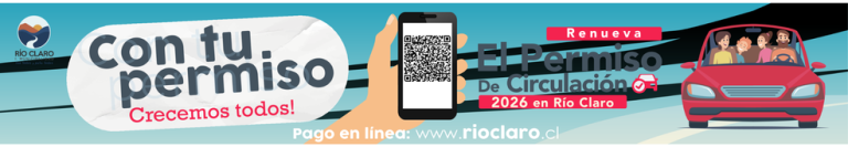 Pasacalle 2026.pdf (985 X 171 Px)